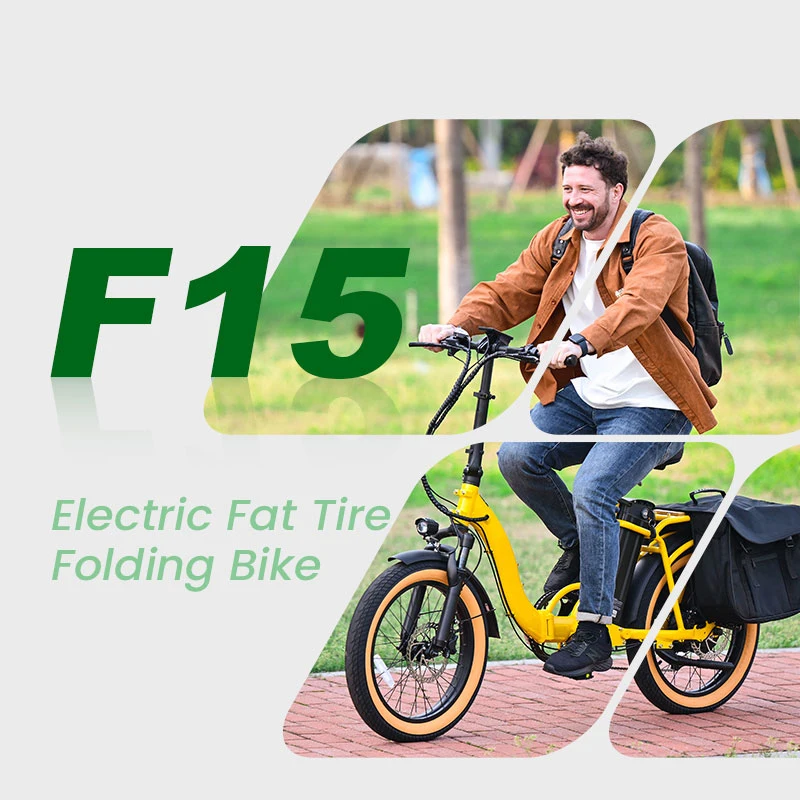 OEM Popular 500W/750W Electric Folding Bike with 48V Lithium Battery Powerful Rear Rack for Delivery Electric City Bicycle