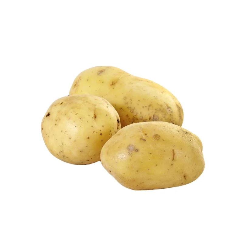 100% Exportable New Harvest Potato / Potatoes Supplier with cheap Price
