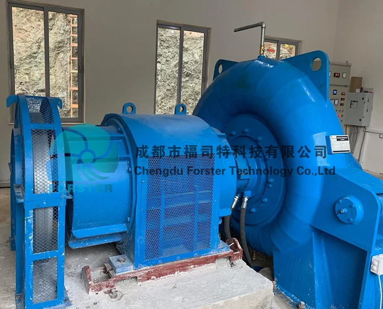 Hydraulic Electric Micro Hydro Electric Plant 300kW Hydro Generator Electric 100kW Water Turbine