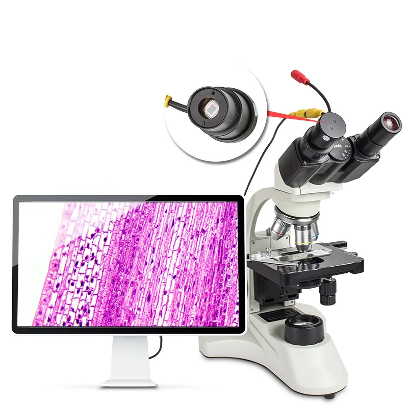 Digital Biological Binocular Light Microscope 40k-1600k Medical Lab Binocular Stereo Microscope For Clinic