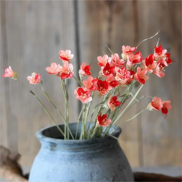 Handmade flowers mini dried flower bouquet materials Drunk the butterfly orchid flower