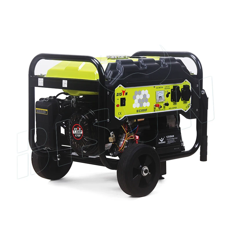 Bison Chinese Made 230V 60Hz Gasoline Generator 7 Kw 110 220 Volts Gasoline Electricity Generator