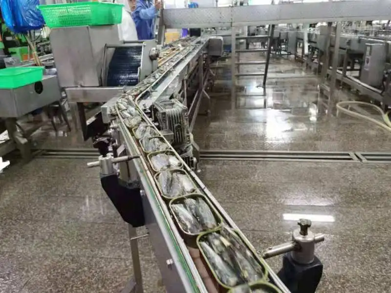 TOP Rated Sardine in Vegetable Oil Premium Brands TITIS , Freshmonger 125g CANS/ ANCHOVY FILLETS IN OLIVE OIL HIGH PROTEIN SALE