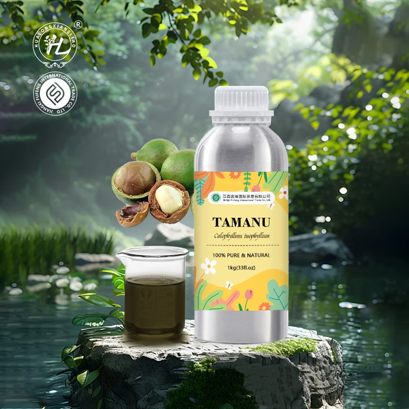 Organic Tamanu Oil For Hair | Foraha oil  - 100 Pure Natural Calophyllum inophyllum Seed Cold Pressed Carrier Oil | Bulk 1kg