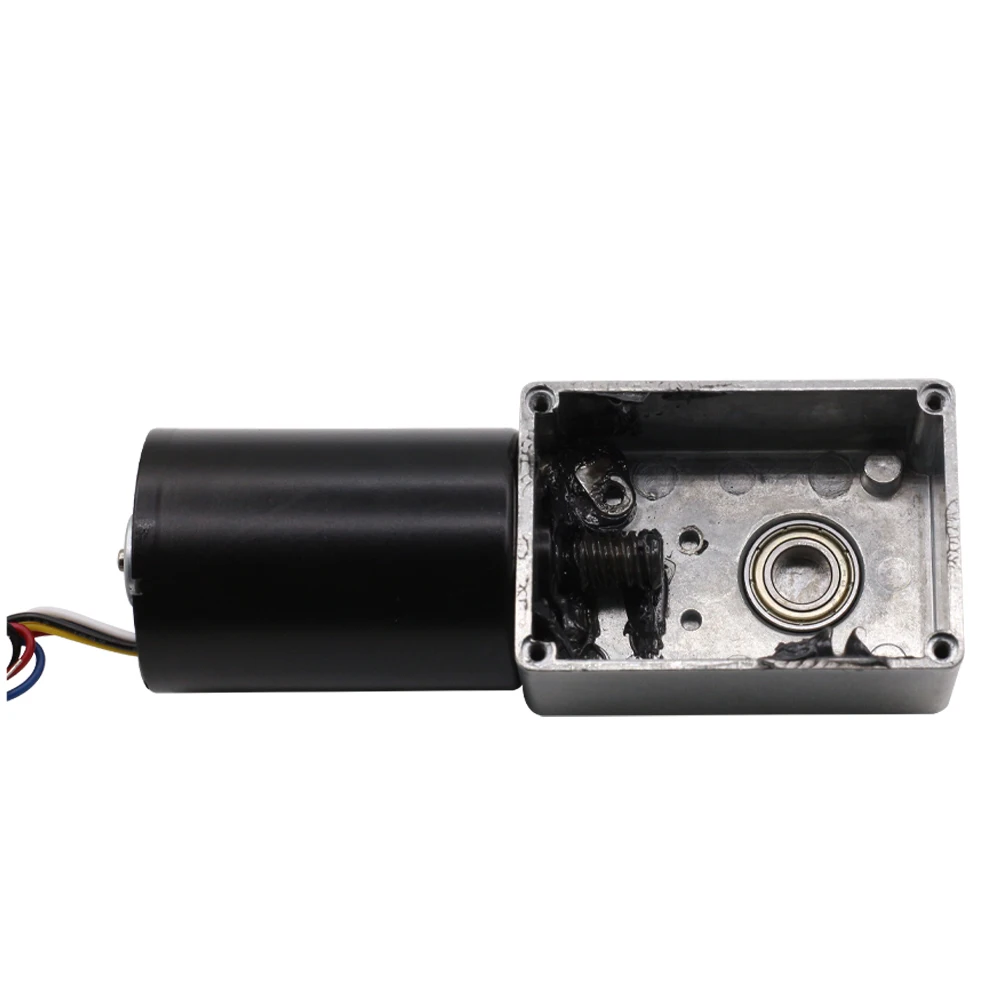 A58-3650  Professional Manufacturer Brushless Worm Gear Motor 12v PMDC Brushed Motor Permanent Magnet IE 2 for home appliance