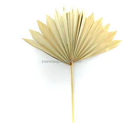 Wholesale dried flowers plam leaves palm poufs spears dried peony flowers dried bouquet of flowers mix