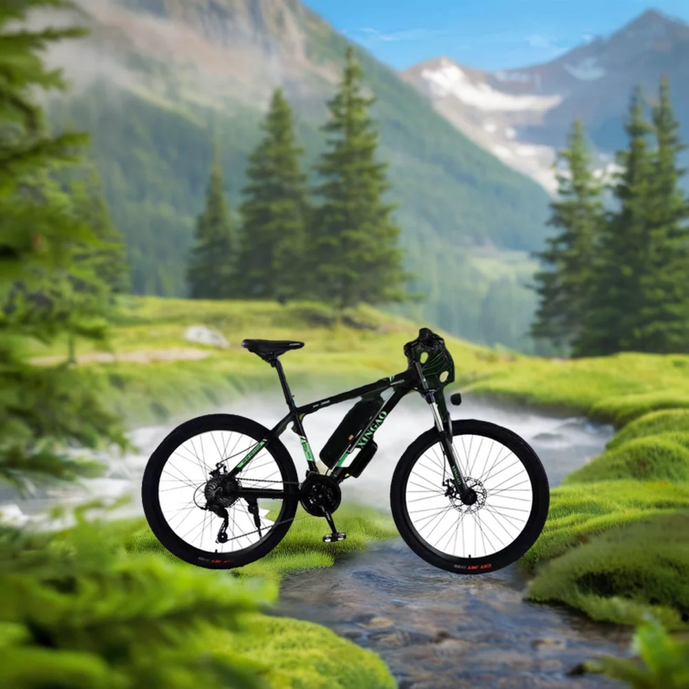 2024 Custom Carbon Fiber Bike 26-inch 350W 36V Mountain bike electric road bike