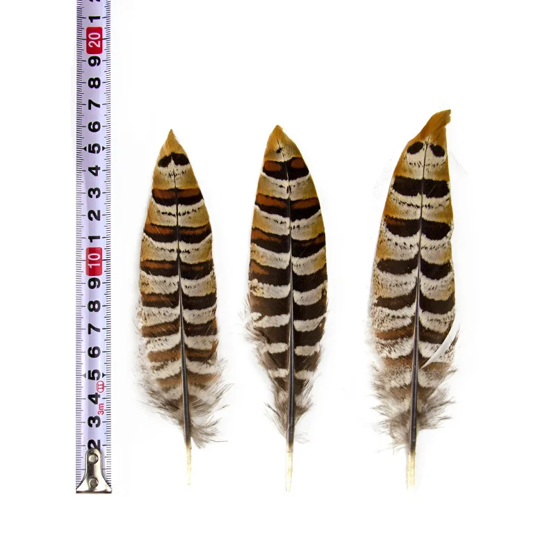 50 Piece/Bag Natural colorful wild chicken feather figure Pheasant feathers for DIY garment craft accessories width 6-16 cm