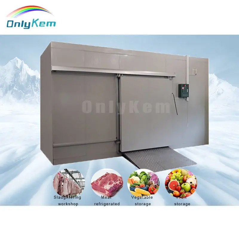 Factory Customized Walk in Freezer Room Refrigerator Freezer Cold Room Storage Price