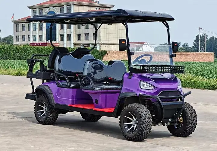 4 кВт 48V150AH 12-дюймовые внедорожные шины с электроприводом оптовая продажа гольф-кары