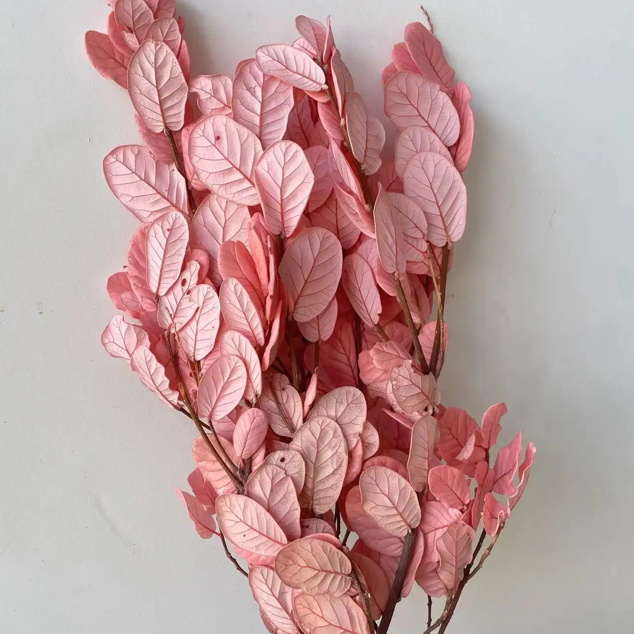 Factory directly wholesale preserved plants handmade leaves materials dried flower for wedding decoration