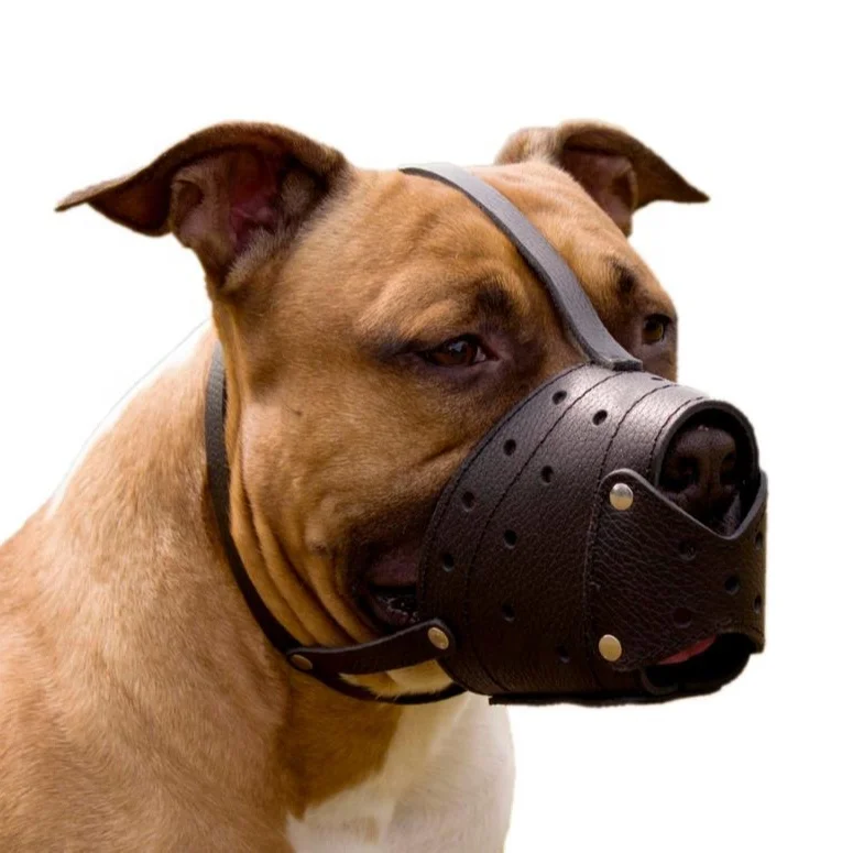 
High quality leather Comfortable durable soft Pit-bull Am Staff and Stafford shire terrier Leather Dog Muzzle 
