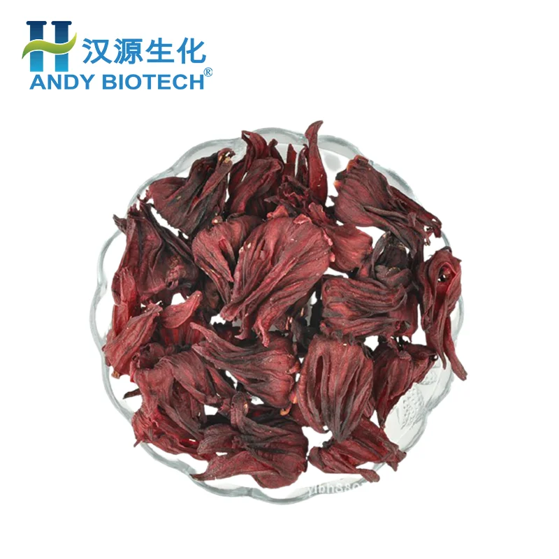 Factory supply Roselle extract Hibiscus roselle flower powder