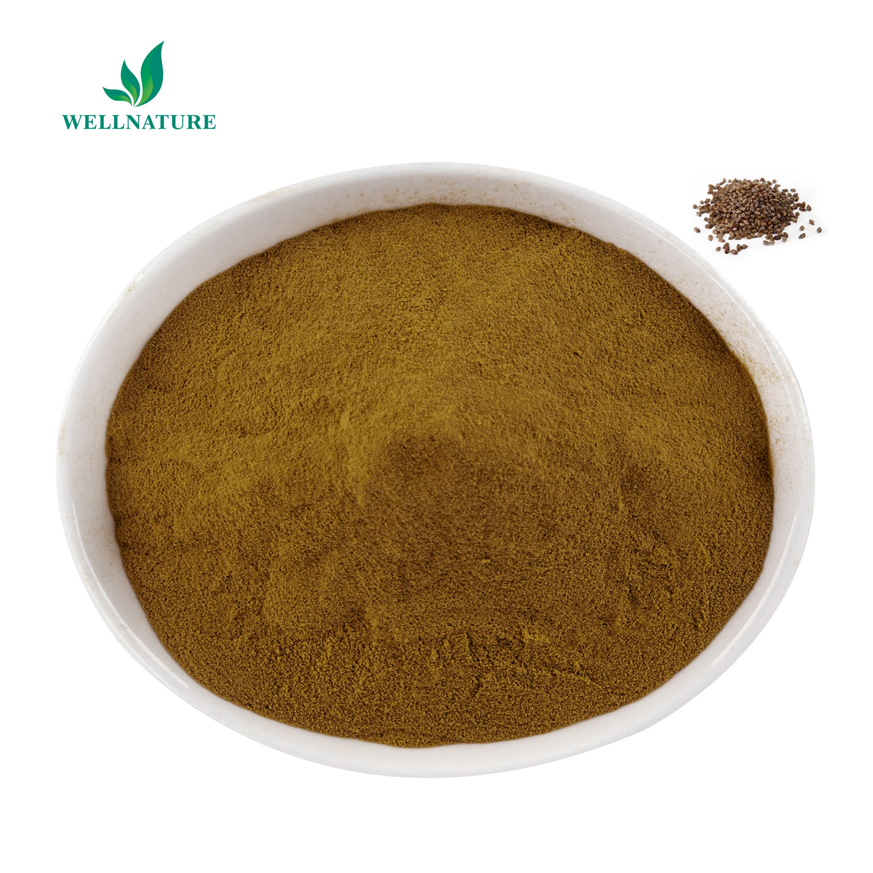 Hot Selling Cassia Seed Extract Powder 4:110:1 20:1 Cassia Semen Seed Extract Anthraquinone Powder for Weight Loss