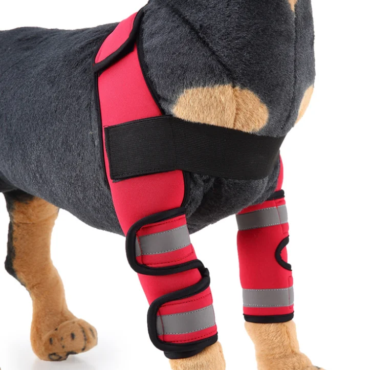 Hot Selling comfortable adjustable Protects Wounds Pet Dog Knee Brace