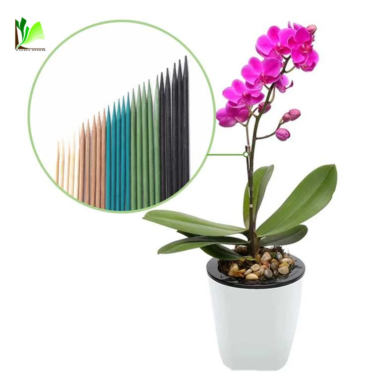 Round Painted Bamboo Plant Sticks for Sale