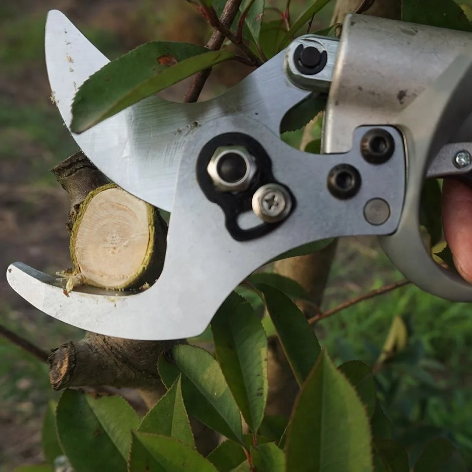 Electric Pruning Shear With Li-ion Battery Cutting 47mm Diameter Professional Garden Electric Shears Horticulture Secateurs