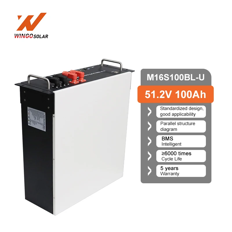 Аккумулятор Wingosolar Lifepo4 высокое напряжение 48 В 100 А/ч 200
