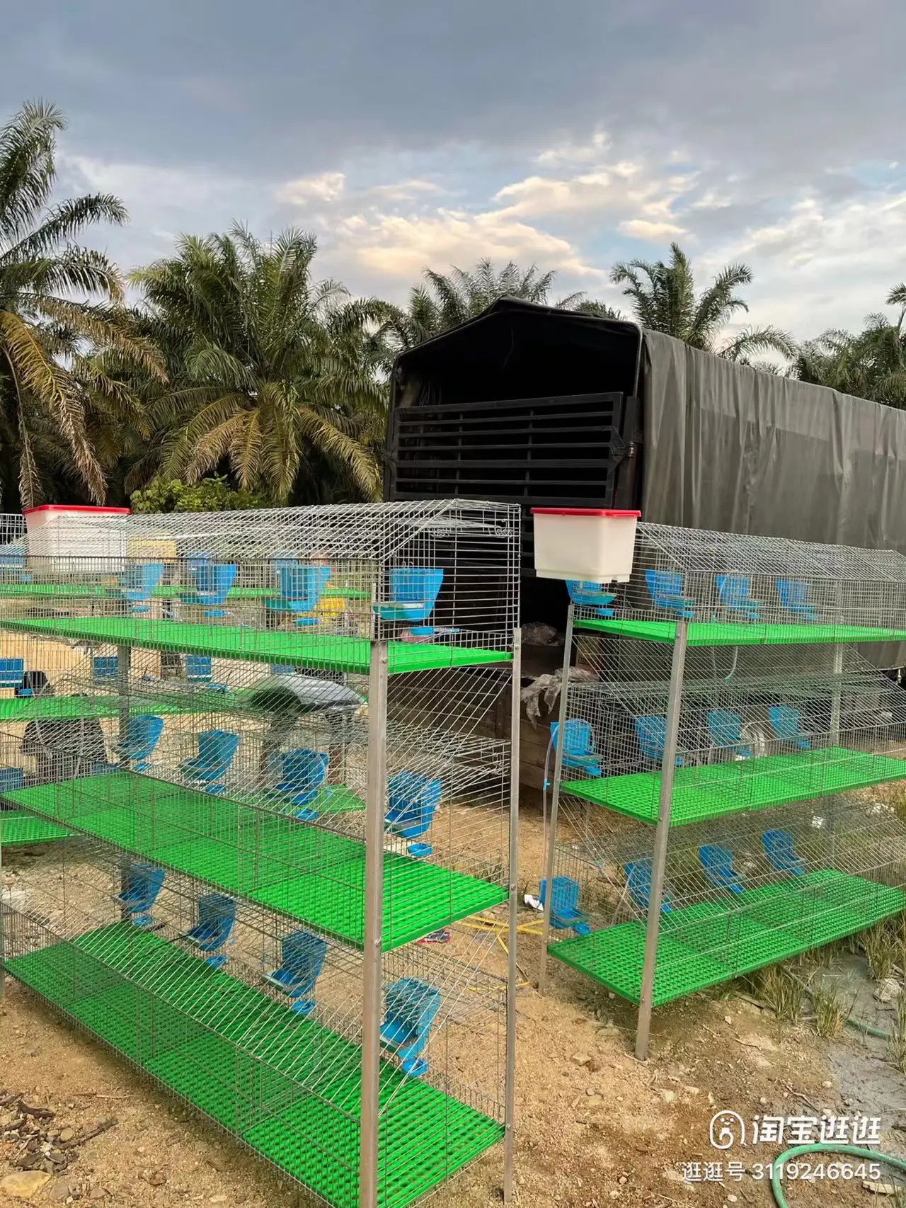 Mother and baby rabbit cage commercial breeding industrial rabbit cages rabbit cage commercial farming