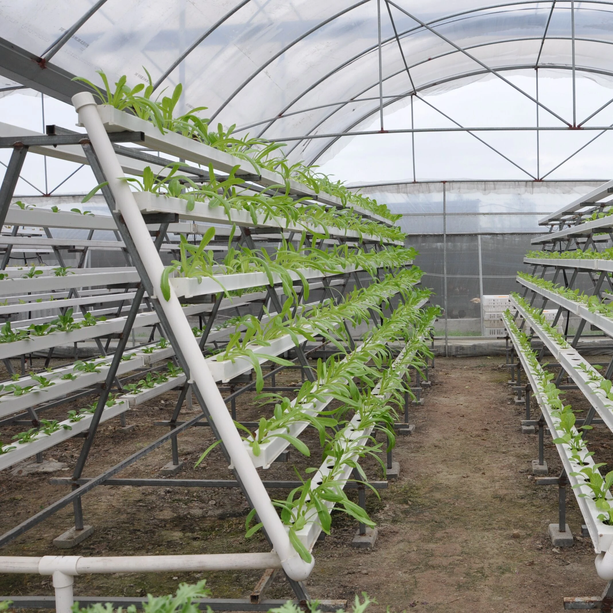 Вертикальный посадки салата Microgreen листовой овощ канале нфт гидропонной системы выращивания