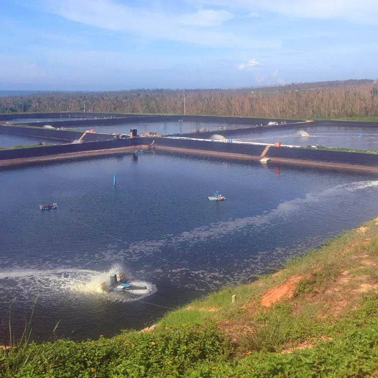 hdpe pond liner geomembrane agricultural breed aquatics pond liners geo membrane  pond liner
