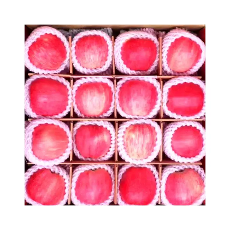 Promotion price chinese 65mm-85mm fresh red fuji apples