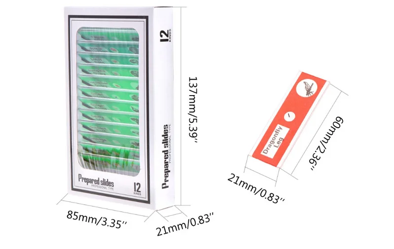 Kids Plastic Prepared Microscope Slides Animals Insects Plants Specimens Slides for Kids Students