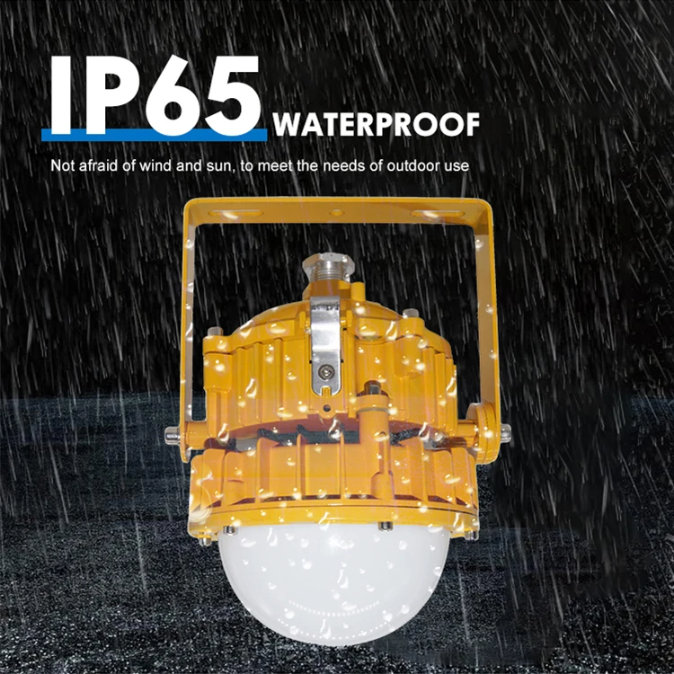 Chemical Warehouse Gas Station Mine Lighting Explosion Proof Lamp High Bay Light Ip65 Waterproof 50w Explosion-Proof Lights