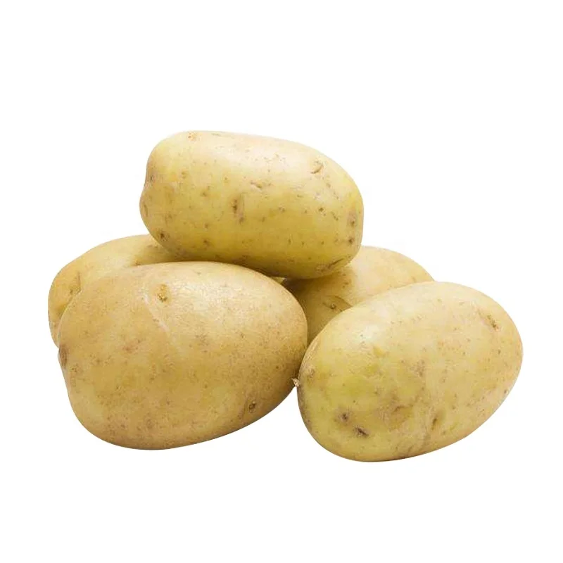 2024 sweet potato batata pomme de terre fresh potatoes from Chinese supplier