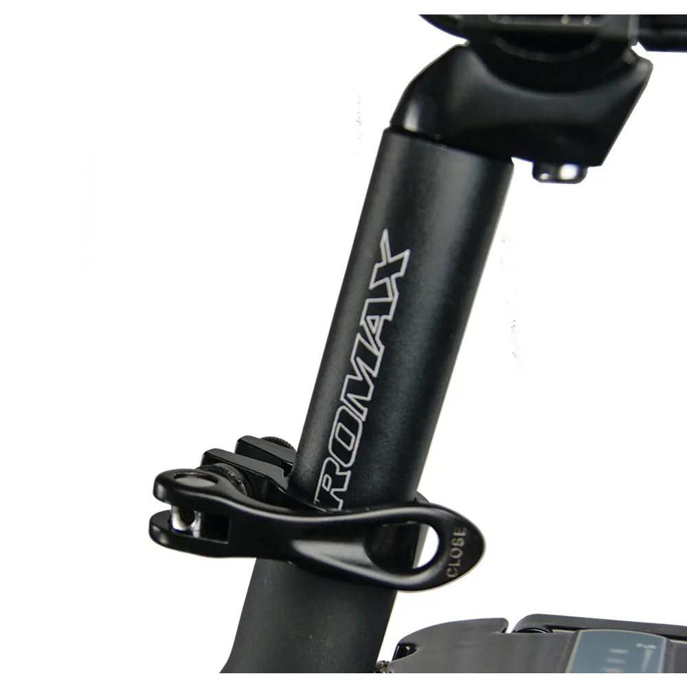 E Bicycle 750 Watt 20 Inch Fat Tire Ladies Folding Electric Bike With Lithium Battery and Pedal Assist System