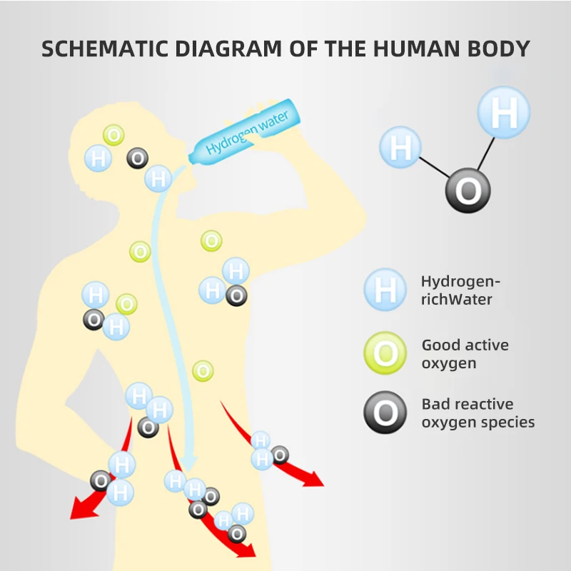 SPE/PEM Rich Hydrogen Cup Water Generator Energy Hydrogen-Rich Antioxidant ORP H2 Water Ionizer Bottle