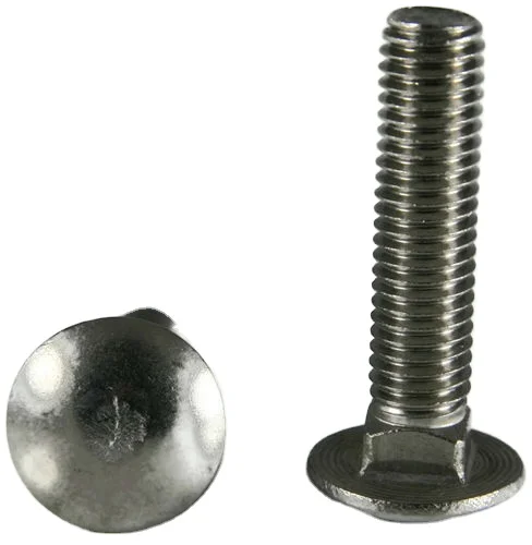 Stainless Steel 304/316 Carriage Bolt