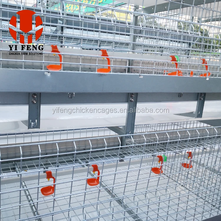 Large Metal Chicken Coop Houses for a Type Baby Chicken for Chicken Farm