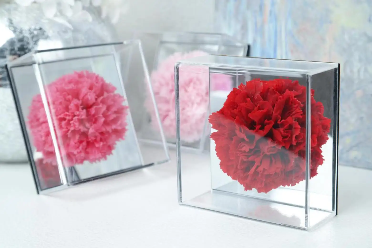 Beautiful Gift Forever Flower Preserved Flower Preserved Carnation Mirrored Acrylic Box