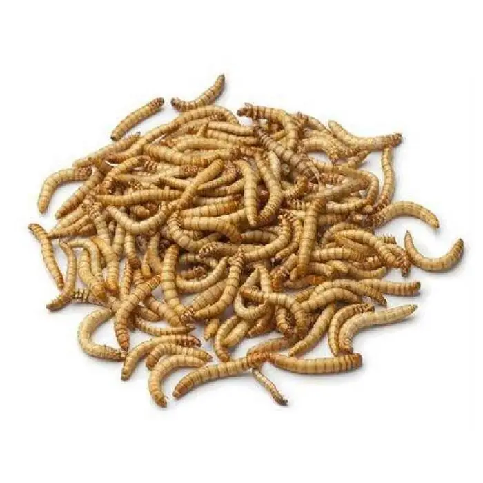 Chinese factory made pet poultry feed freeze dried mealworms wholesale dried mealworms dried superworm