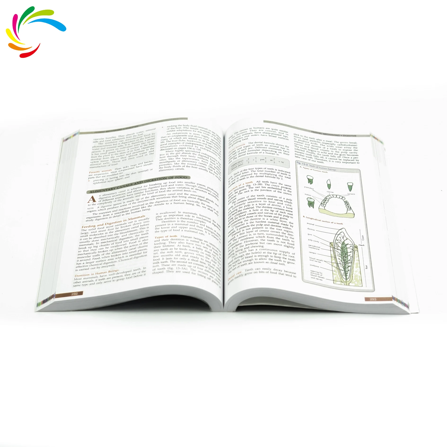 Factory cheap custom full color African English textbooks  junior high school   biology  book  education popular sales book.