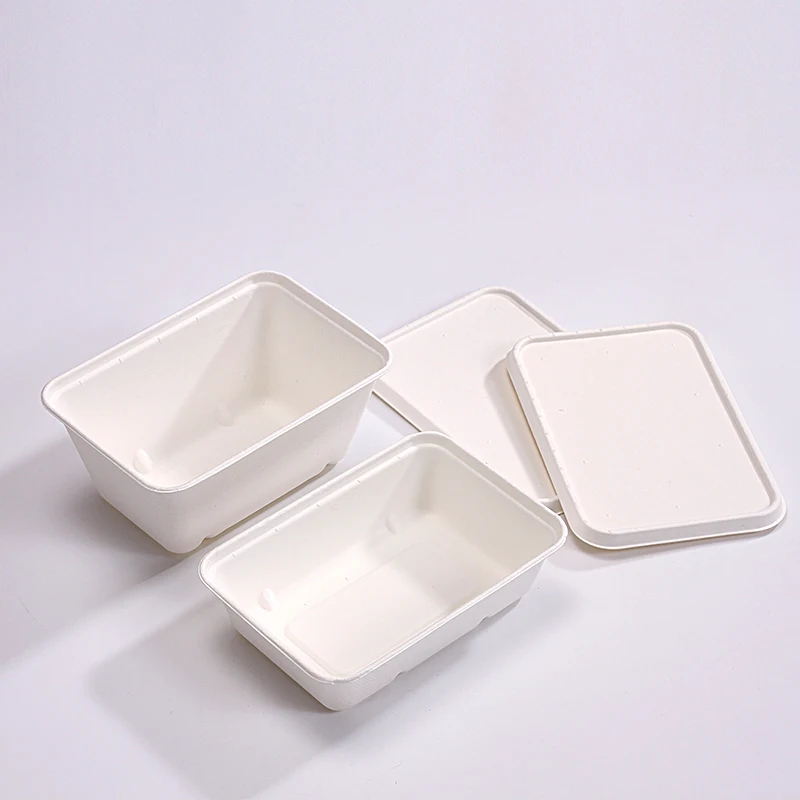 Eco friendly disposable bagasse dinnerware sets biodegradable packaging for food