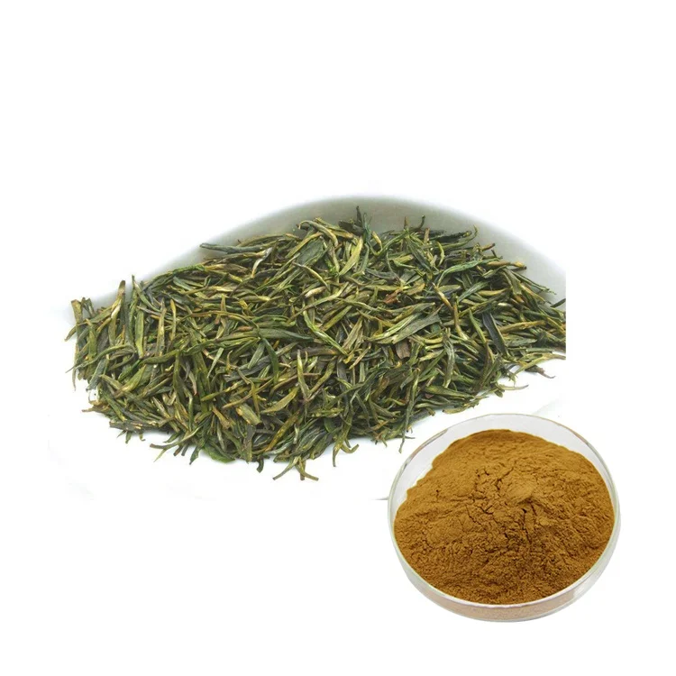 GMP standard factory Coolflying supply high content best cost organic green tea extract Powder 98% Green Tea Polyphenol / GTP