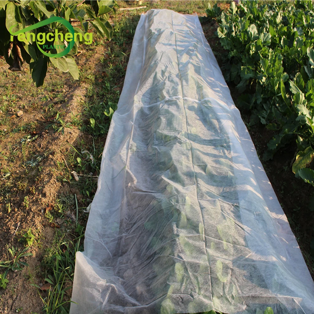 China Spunbond PP White Polypropylene Nonwoven Fabrics Agricultural Crop Cover Extra Wide Non Woven Fabric