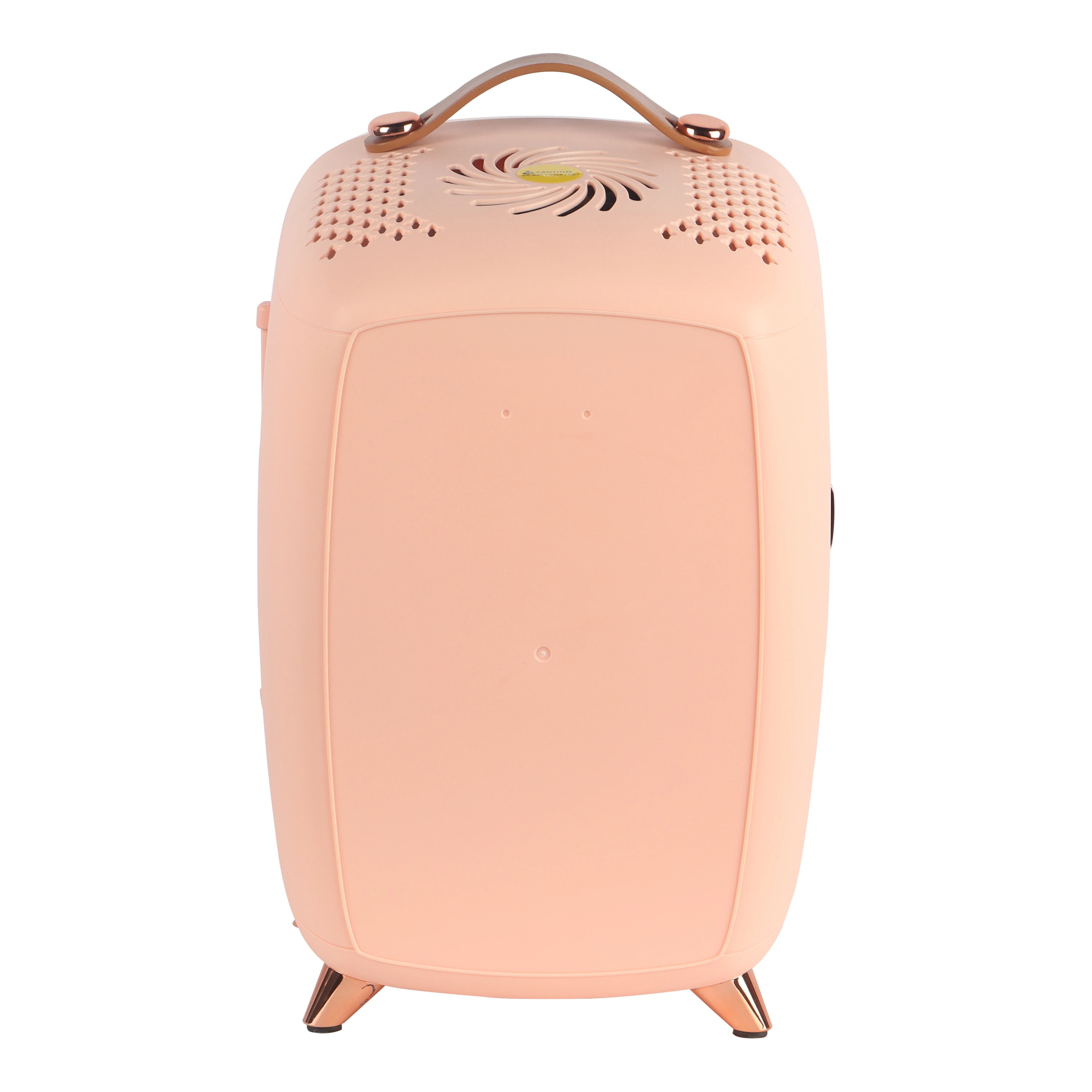 AC 220 V with EU and UK adapter Mini Fridge 6L LED light Automobile semi-conductor Cosmetic Fridge Compact Personal Fridge