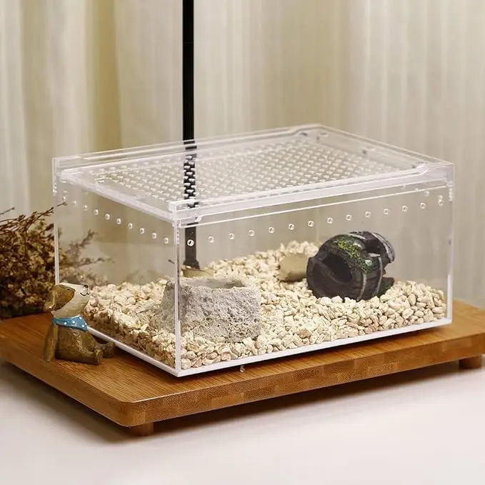 Custom Acrylic Clear Pet Box Small Animal Acrylic Cage For Hamster Reptile Insect Carrier