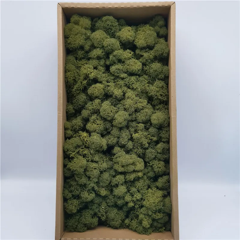 Customized stabilized moss decoration Royal pool Moss for decor