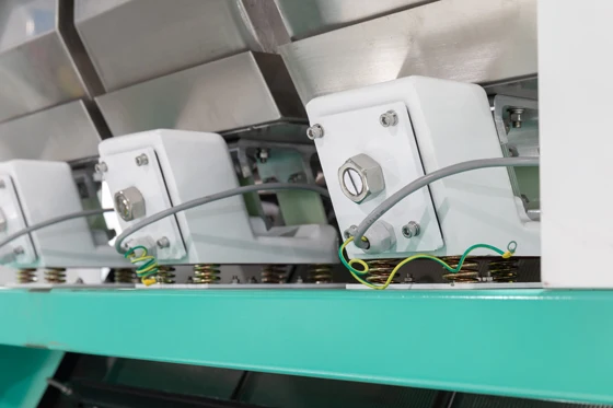 High Capacity Optical CCD Color Sorter Cocoa Bean Color Sorting Machine Grain Color Sorter Separator