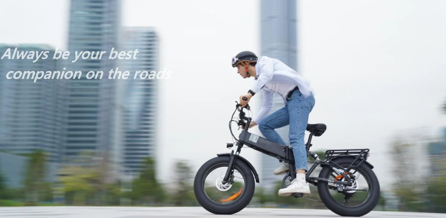 Moutain Bicycle 48V Long Range Electric Bicycle Factory USA Inventory Cheap 20 inch Fat Tire lithium