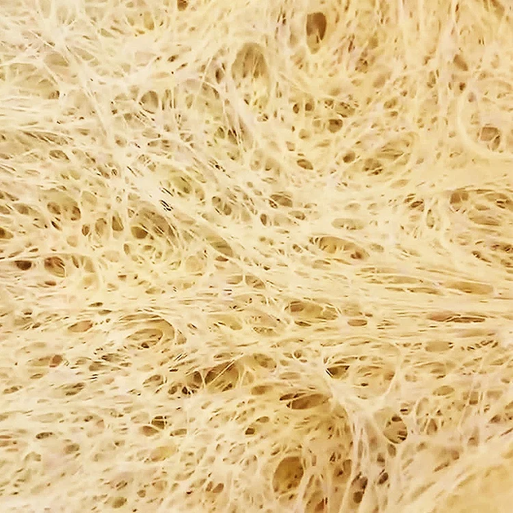 Unleash Your Culinary Yeast Using Skills: Your Path to Baking Success Begins with Our Premium Instant Dry Yeast