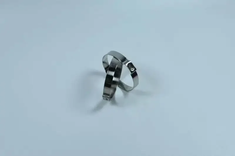 Custom Standard Sizes Types Stainless Steel Thin Thickness Hose Clip Single Ear Hose Clamps Pex Pipe One Ear Hose