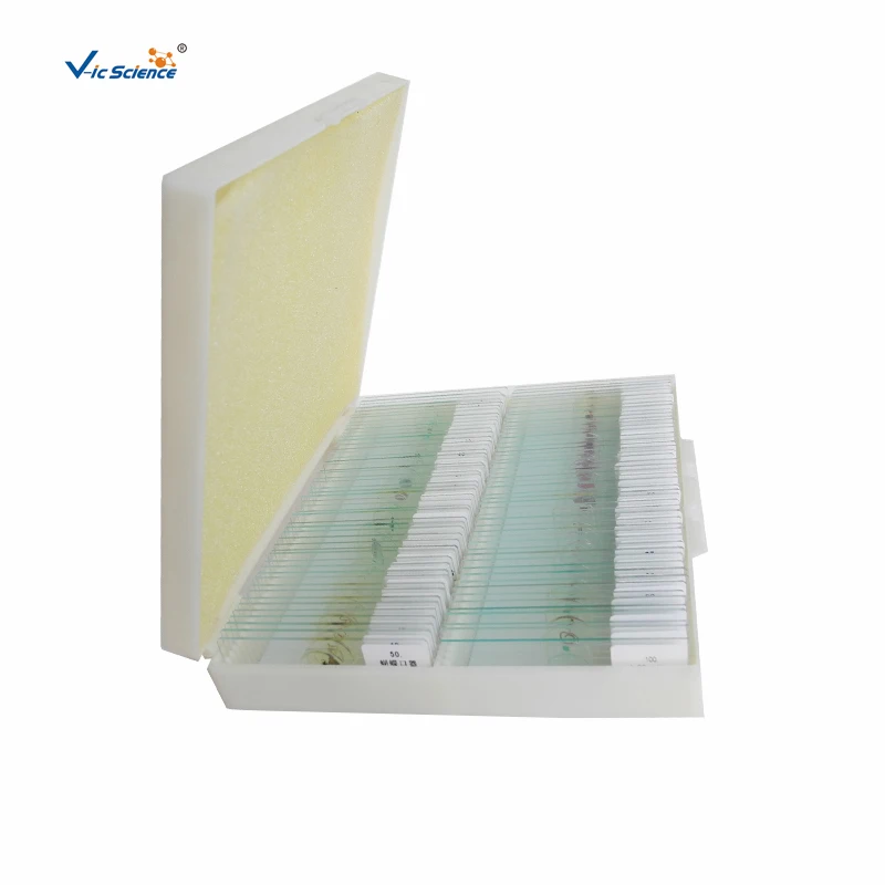 100pcs preparation of histological slides popular biology prepared microscope slides for students studying