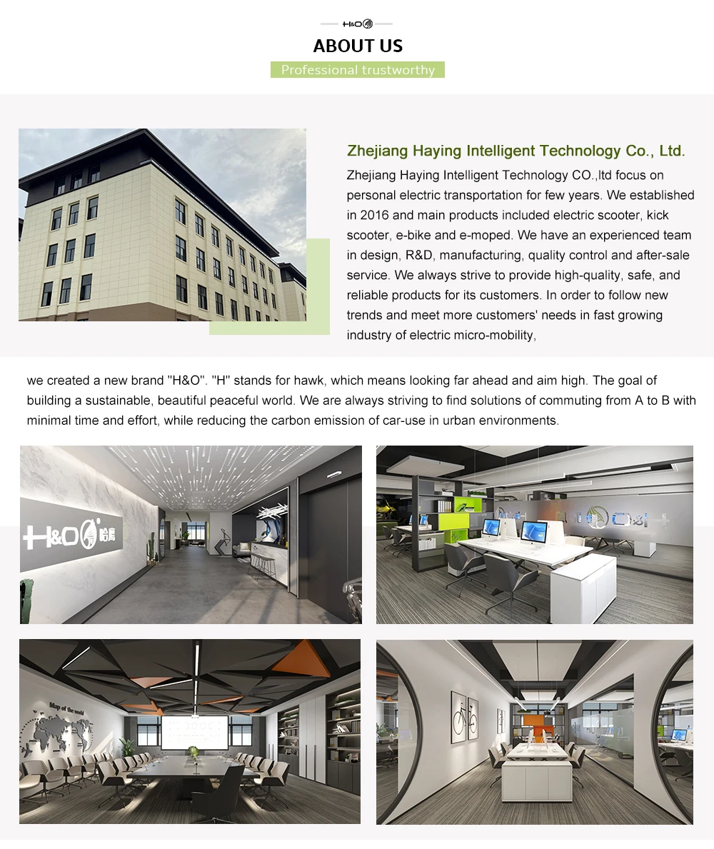 Orignal Stylish Step Scooter Smart Electric Scooter Light Weight High Sterngth 300W 36V 10Ah Motor Power Escooer