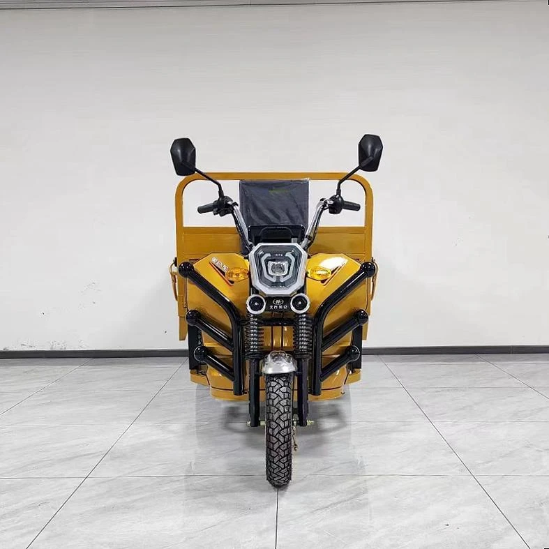 EEC Сертифицированный 200300cc Электрический грузовой трехколесный велосипед fueleicent экологически высокопроизводительный автомобиль