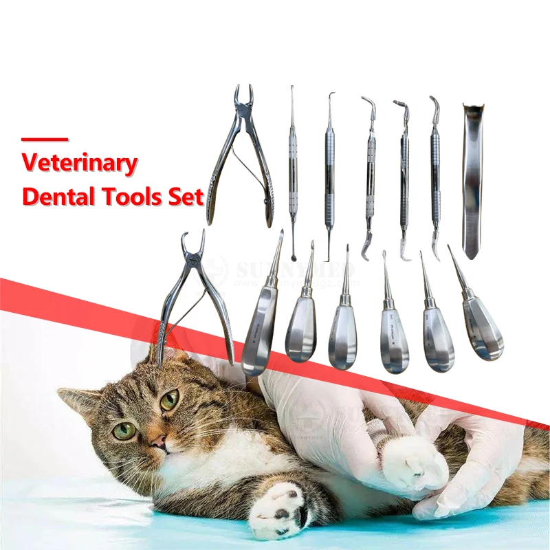 SY-W064 Veterinary Dental Instruments Examination Tools Set of Animal Mouth Health Care Equipment